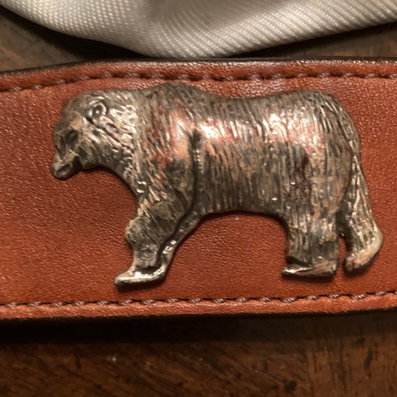 Honest by Brighton VINTAGE (1992)  “Endangered Species” Brown Leather Belt. - Picture 15 of 16